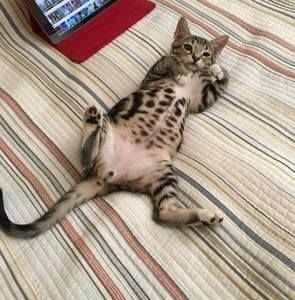 Meet your Posher, Kathy